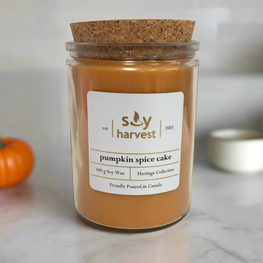 pumpkin spice cake soy candle cotton wick